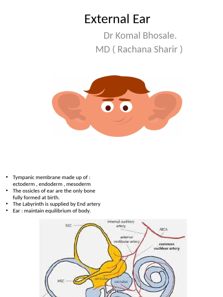 External Ear | PDF