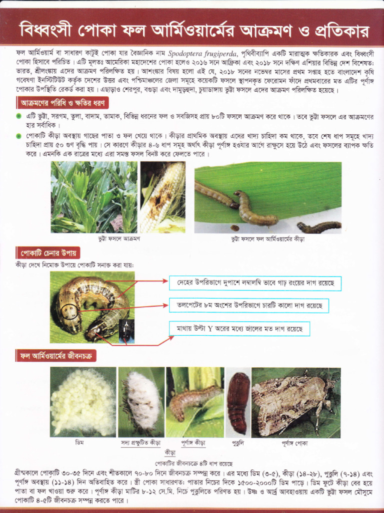 Fall Army Worm | PDF