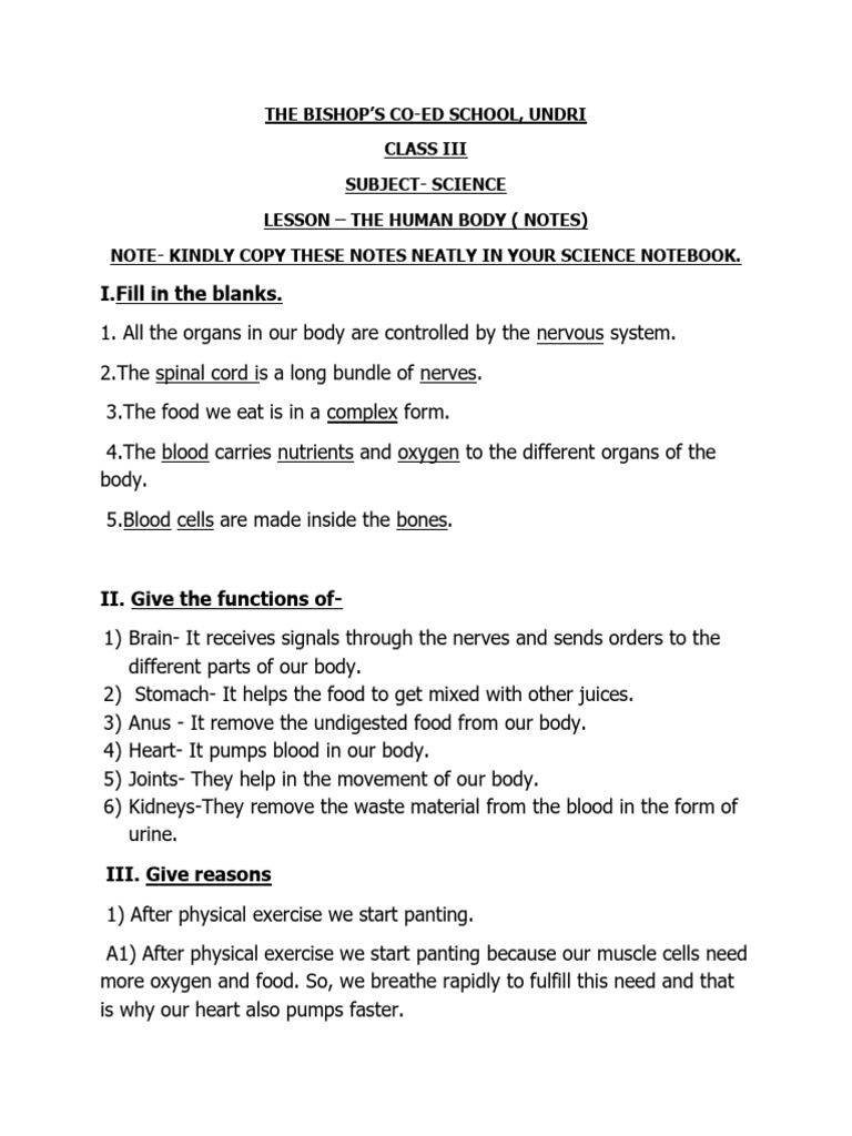 Class III Science: Human Body Notes | PDF | Nervous System | Human Body