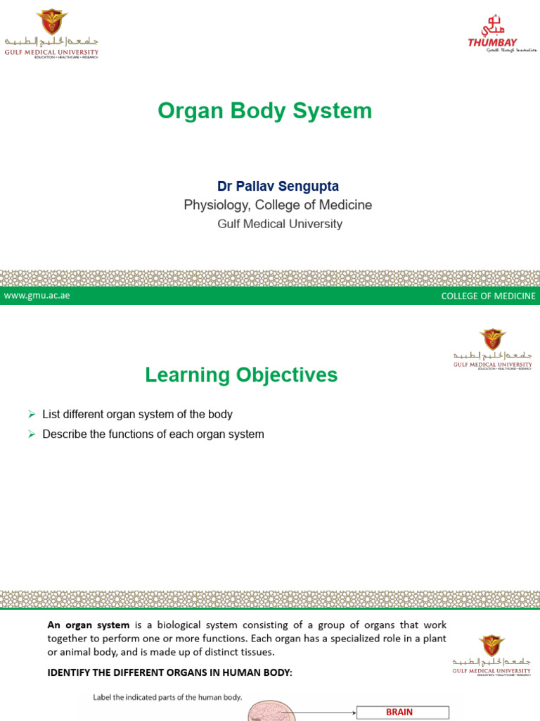 Overview of Human Organ Systems | PDF | Human Body | Circulatory System