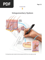 Integumentary System Combining Forms | PDF | Skin | Integumentary System
