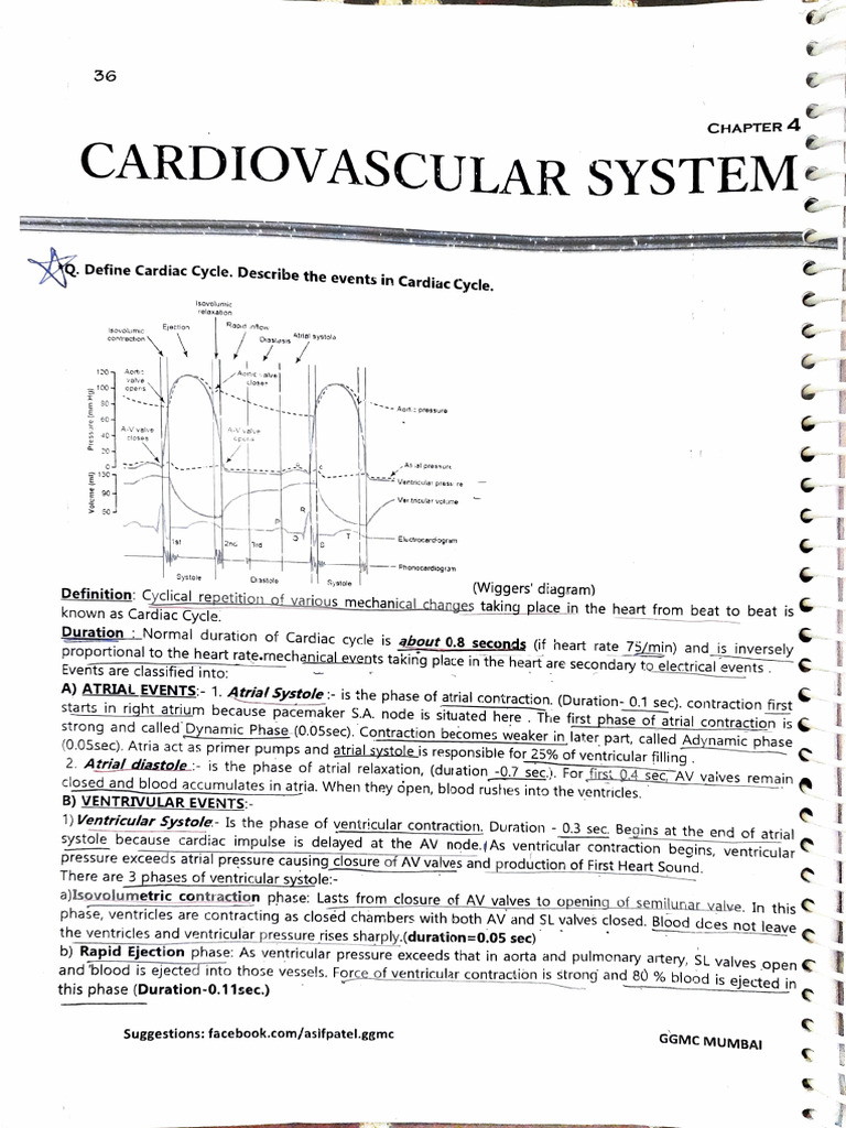 CVS Question PDF | PDF