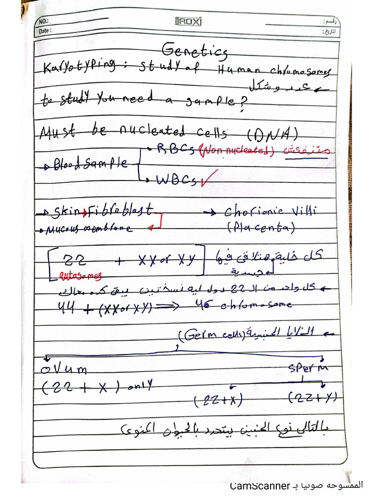 Genetics 1 | PDF