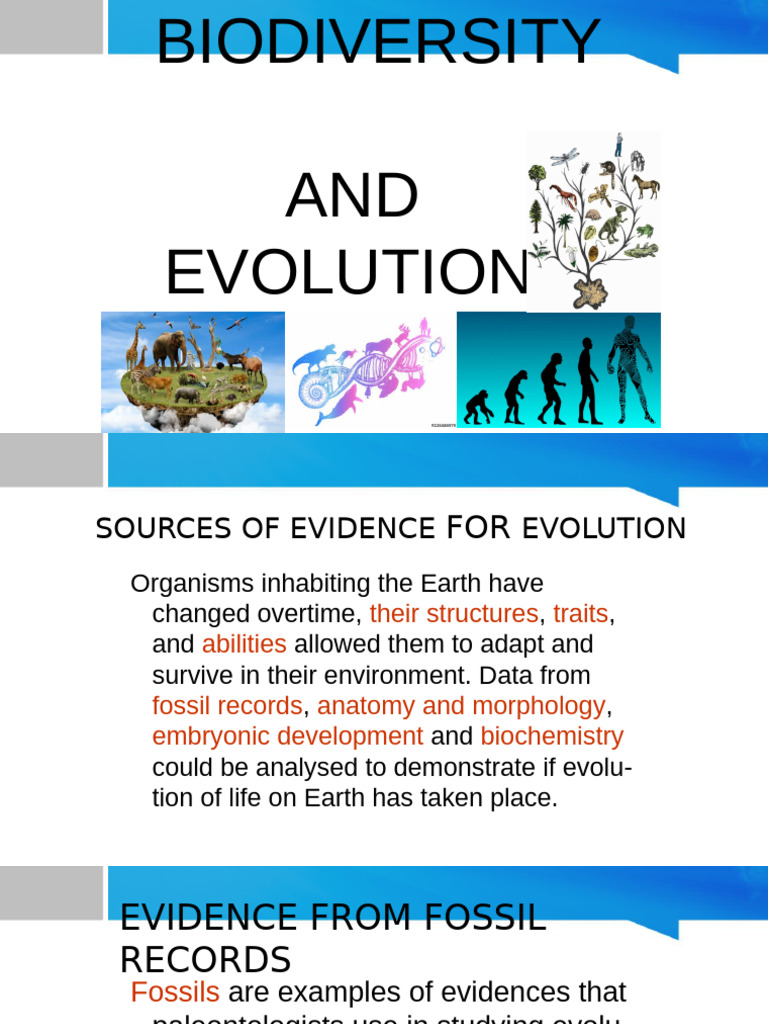 Evidence of Evolution and Biodiversity | PDF | Fossil | Natural Selection
