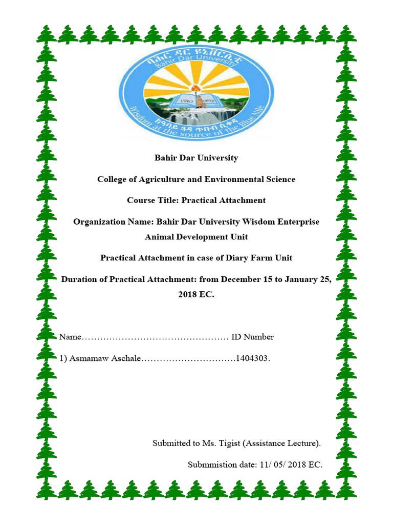 Practical Attachment Report: Dairy Farm | PDF | Economics | Dairy