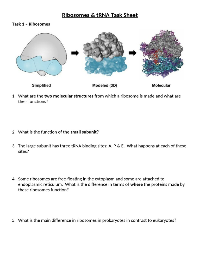 Ribosomes and tRNA Functions Guide | PDF