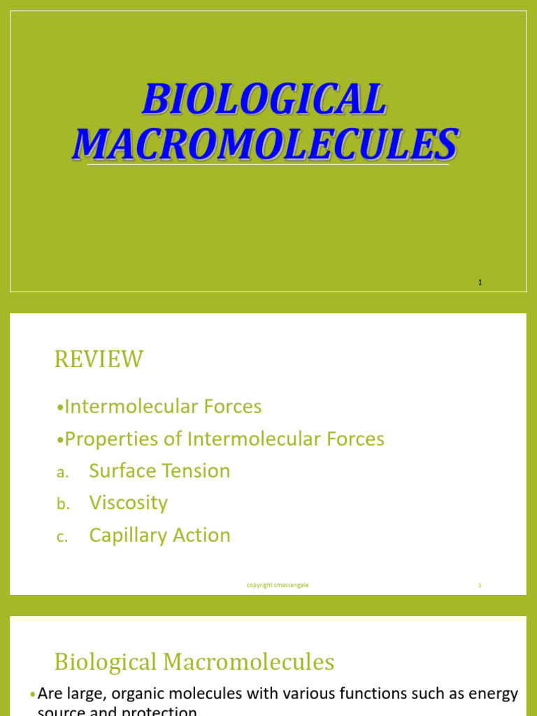 Overview of Biological Macromolecules | PDF | Carbohydrates | Lipid