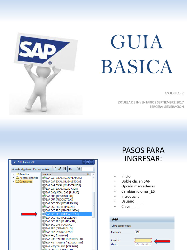 Guía SAP para Gestión de Inventarios | PDF