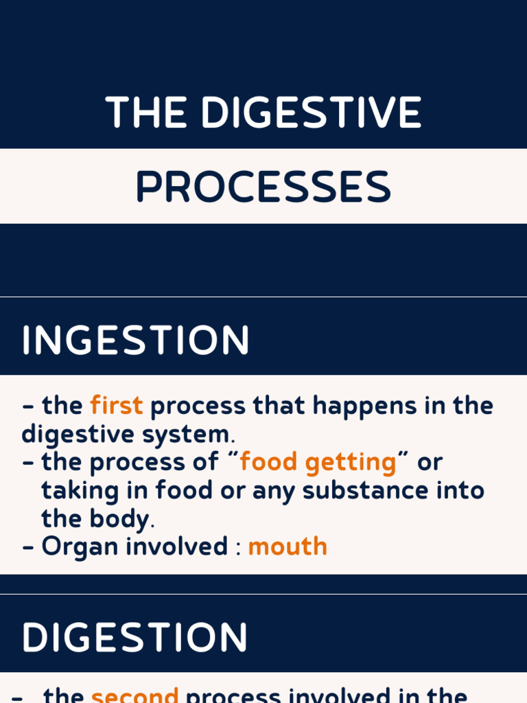 Lesson On Digestive Processes | PDF