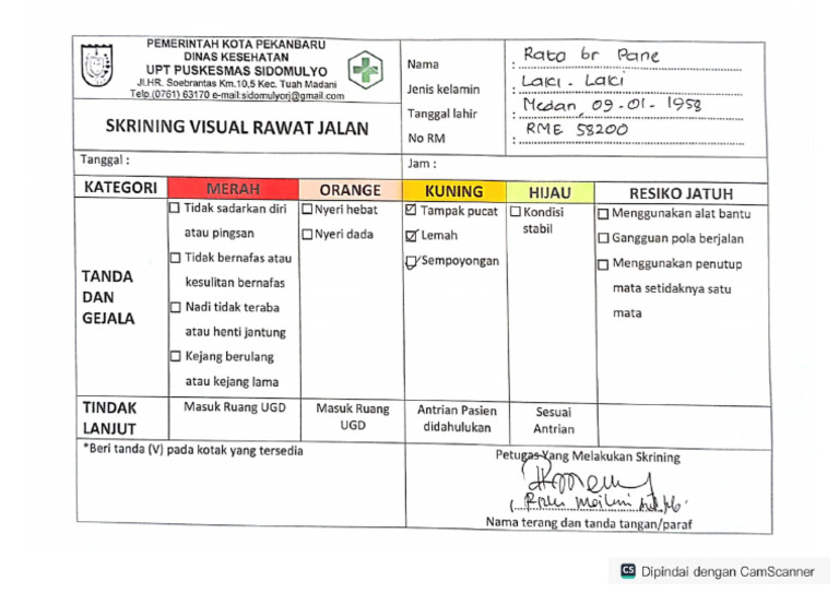 3.1.1.a.3 Skrining Visual | PDF