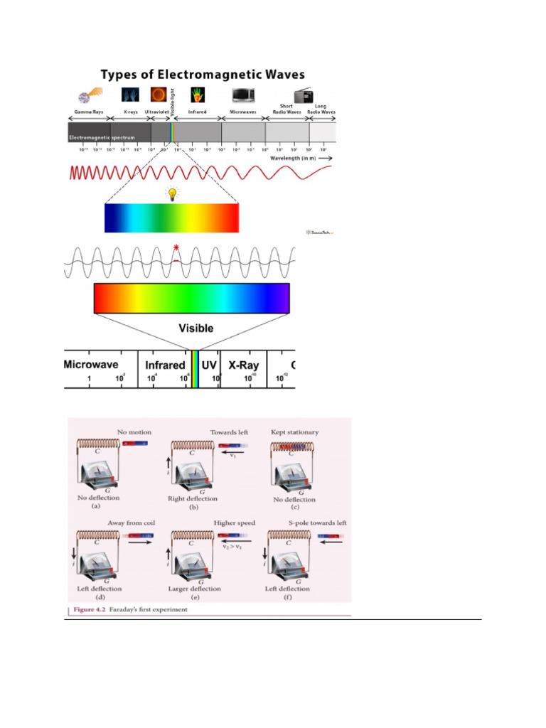 Science | PDF