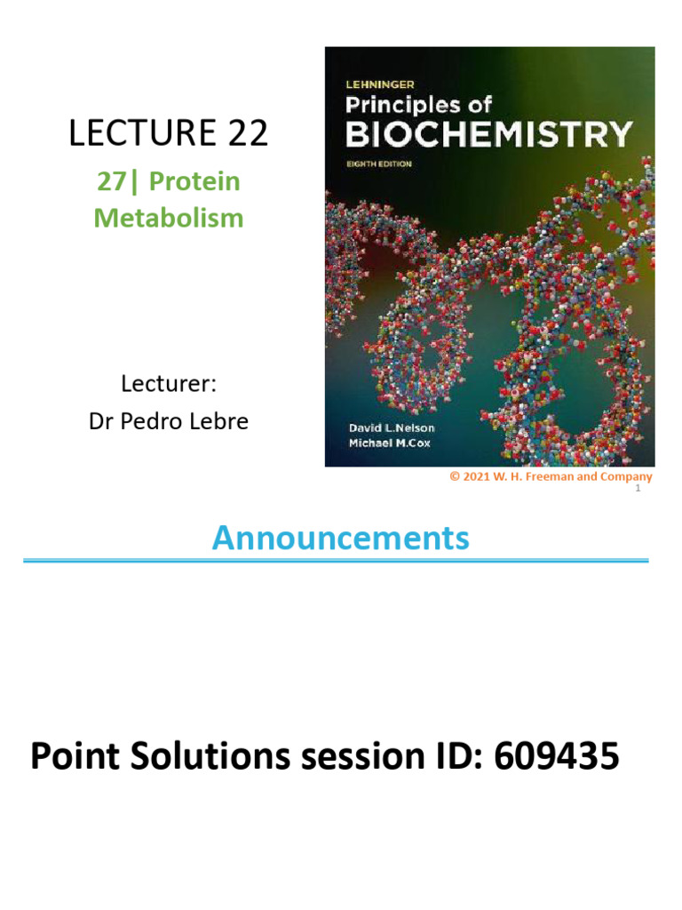 Protein Metabolism and Synthesis Overview | PDF | Ribosome | Ribosomal Rna