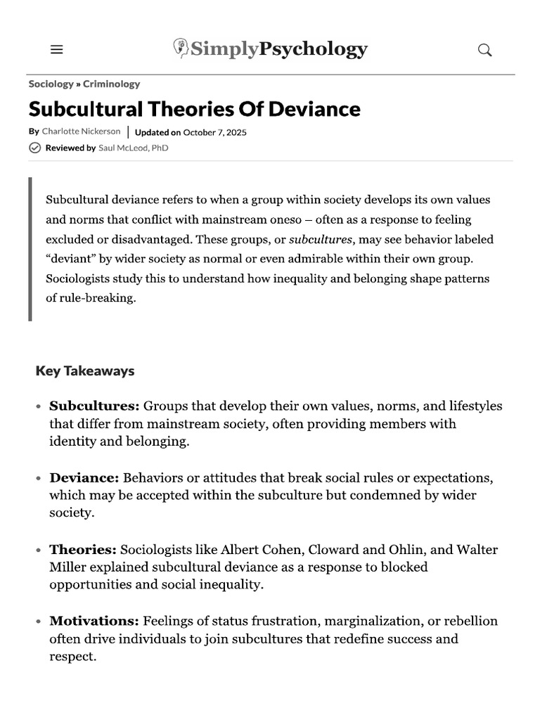 Subculture Theory | PDF