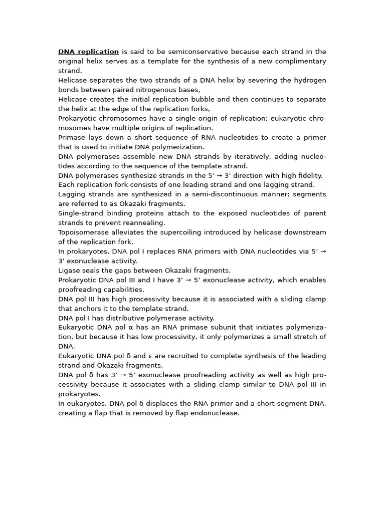 DNA Replication Process Explained | PDF