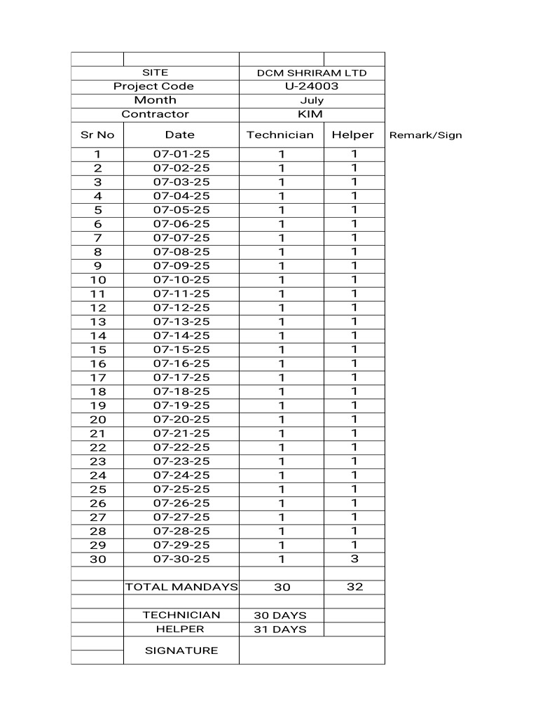 July 2025 Work Log for DCM Shriram | PDF
