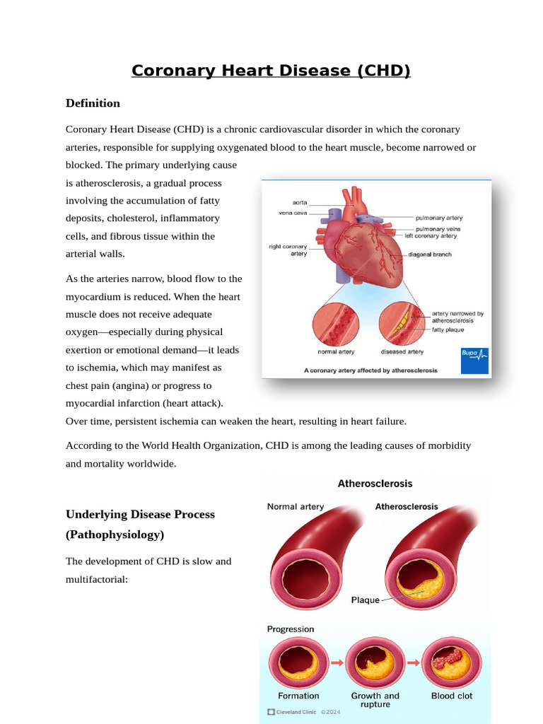 Understanding Coronary Heart Disease | PDF | Myocardial Infarction ...