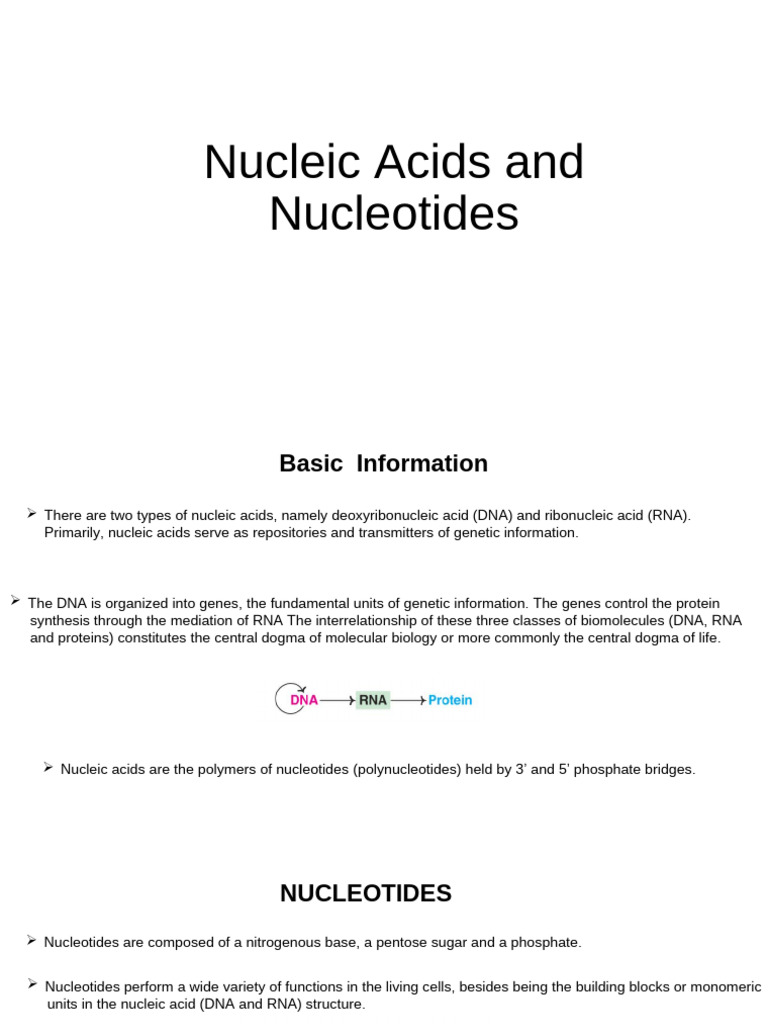 Nucleic Acids: Structure and Function | PDF | Nucleic Acids | Rna