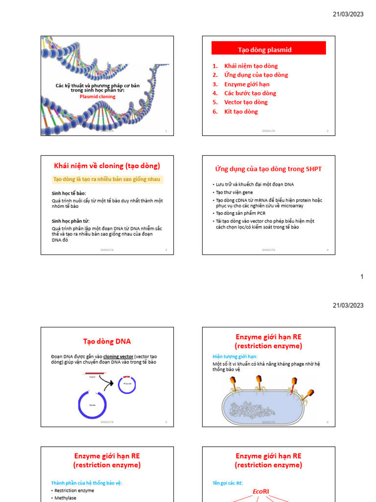 Cloning | PDF