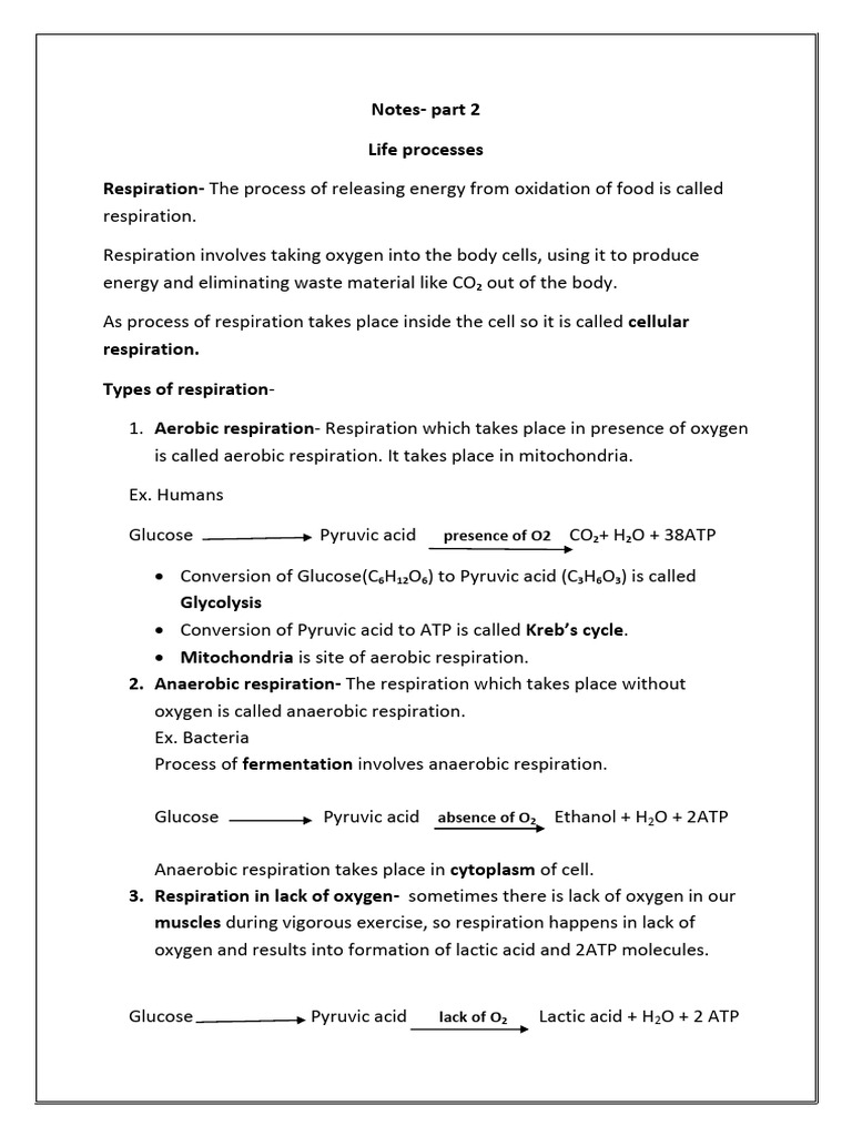 Cellular Respiration and Human Organs | PDF | Cellular Respiration ...