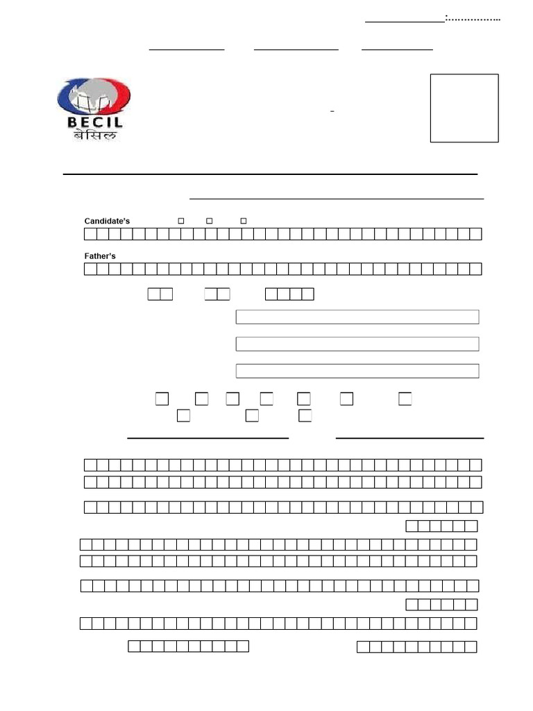 BECIL Job Application Registration Form | PDF