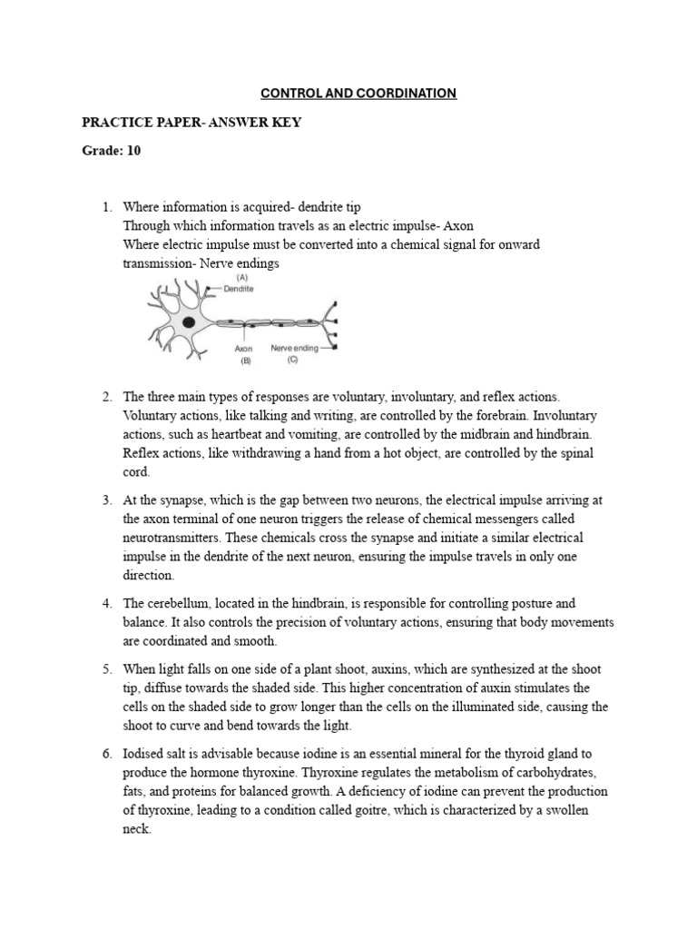 Grade 10 Control and Coordination Key | PDF | Central Nervous System ...