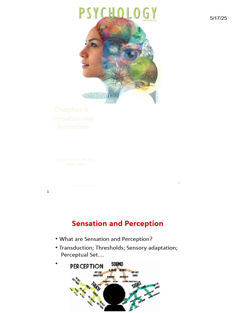 Unit5 Chap6 Sensation Perception | PDF | Perception | Taste