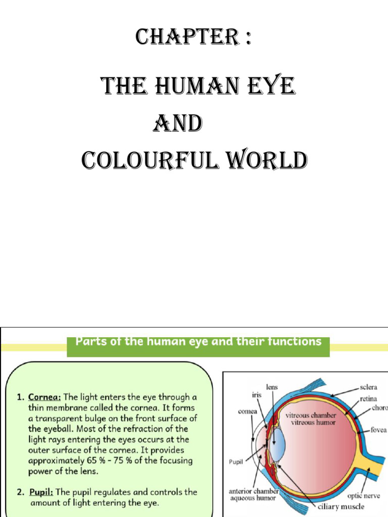 Chapter 10; The Human Eye | PDF