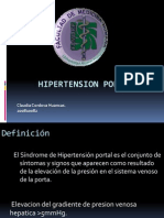 Hipertension portal