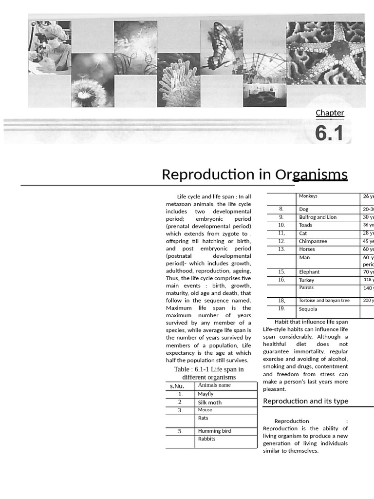 Life Cycle and Reproduction in Organisms | PDF | Sexual Reproduction ...