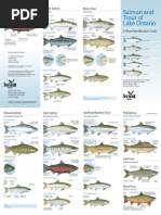 Ontario Freshwater Fish Species Guide | PDF | Fish
