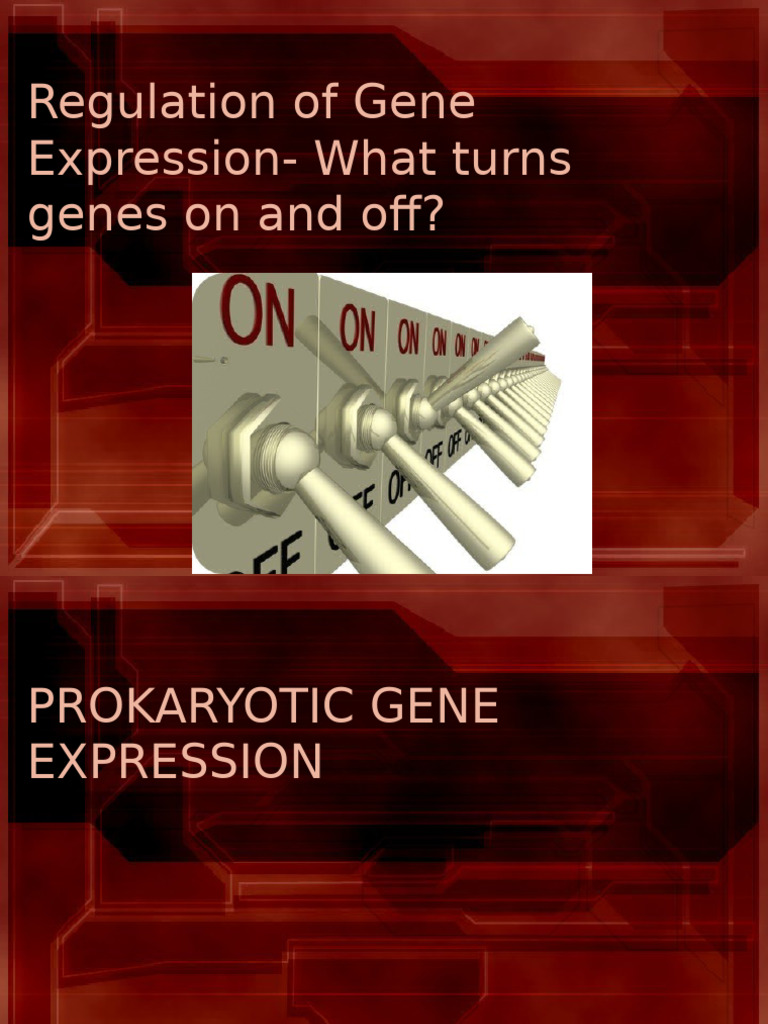 Gene Expression Regulation in Cells | PDF | Operon | Repressor