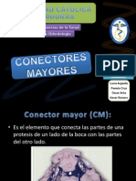 Conectores Mayores en protesis removible