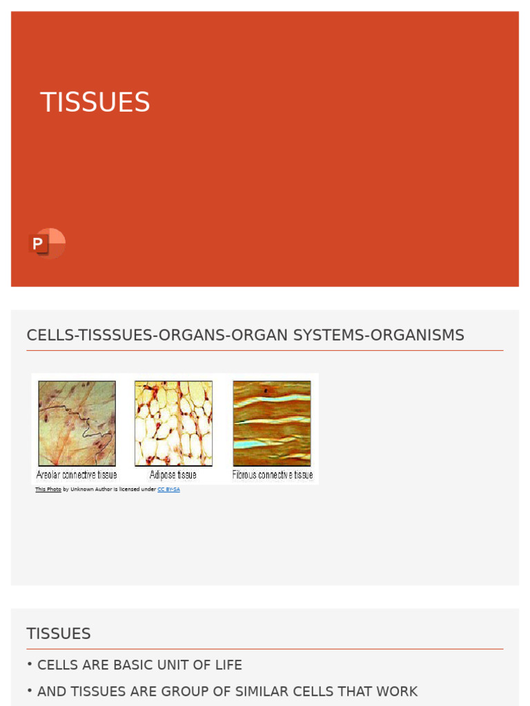 Understanding Human Tissues and Functions | PDF