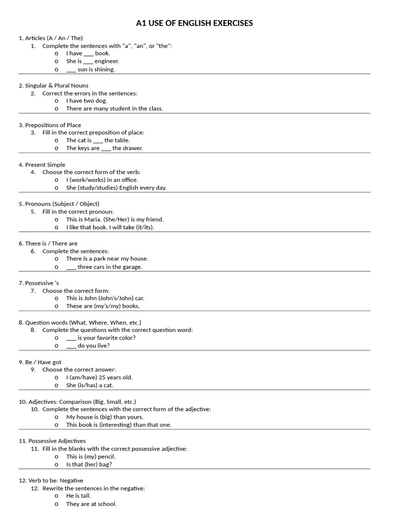 English Grammar Exercises for Beginners | PDF | Adjective | Verb