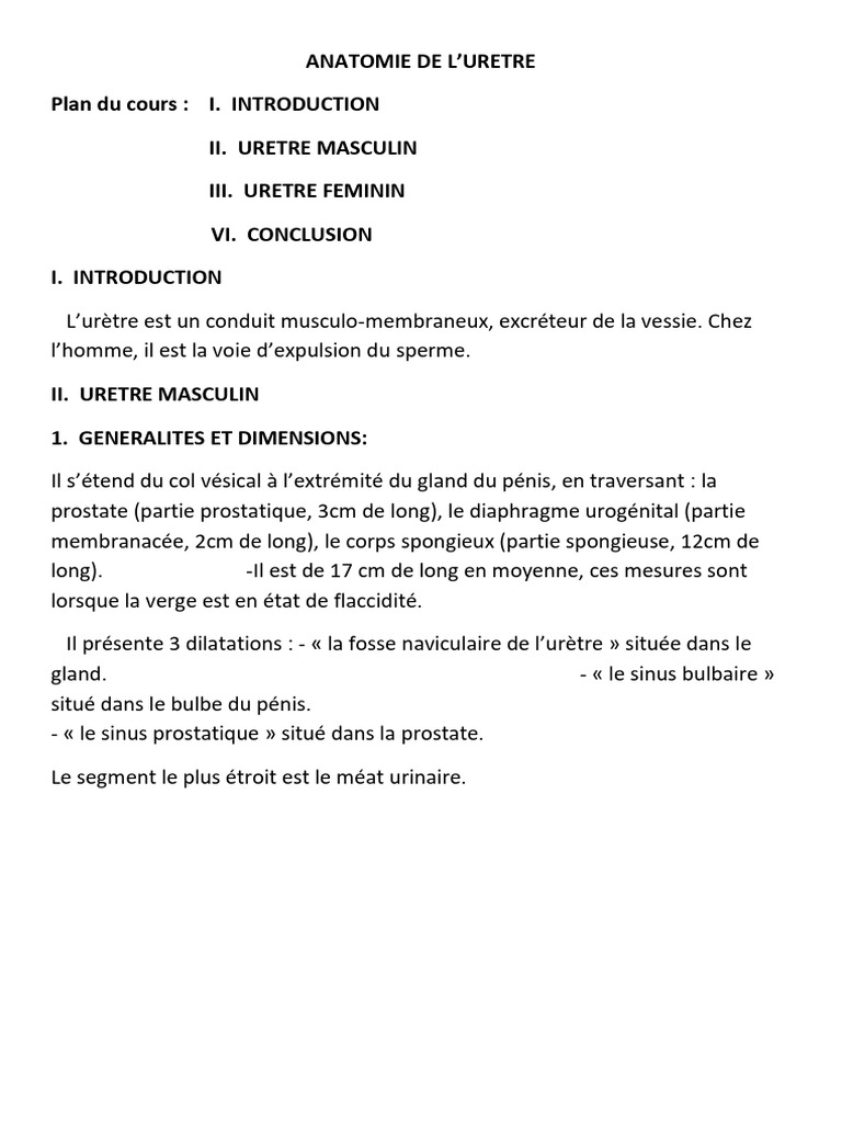 Anatomie de l'Uretre Masculin et Féminin | PDF | Prostate | Clitoris