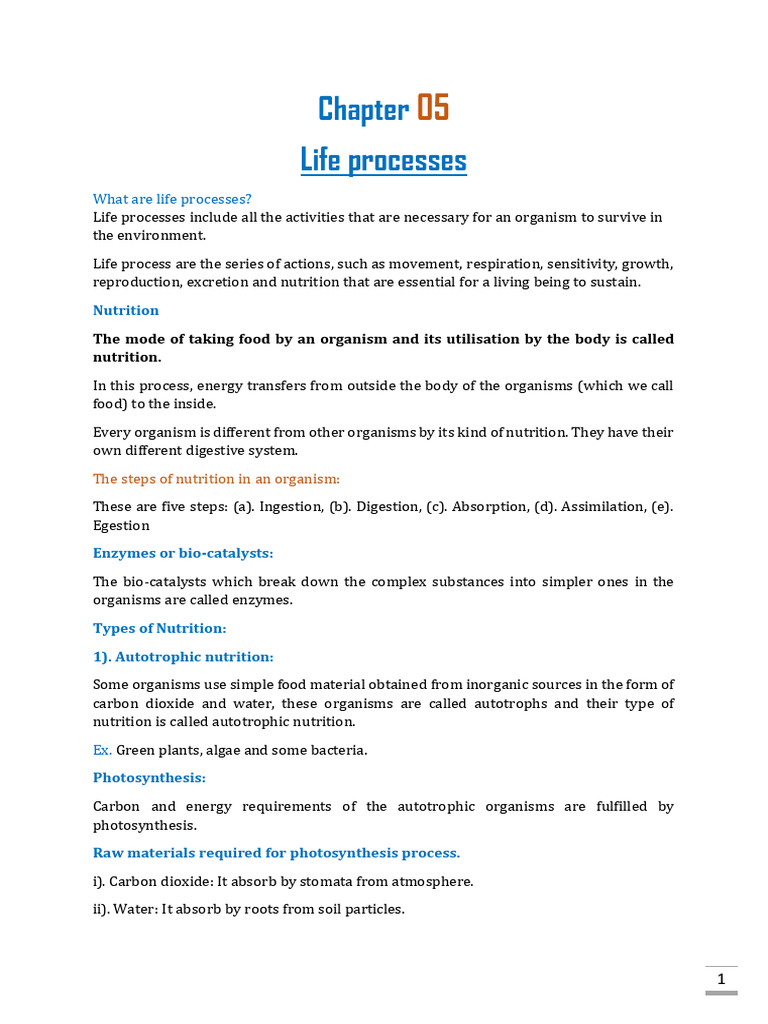Chapter 05 Life Processes | PDF | Digestion | Respiratory System