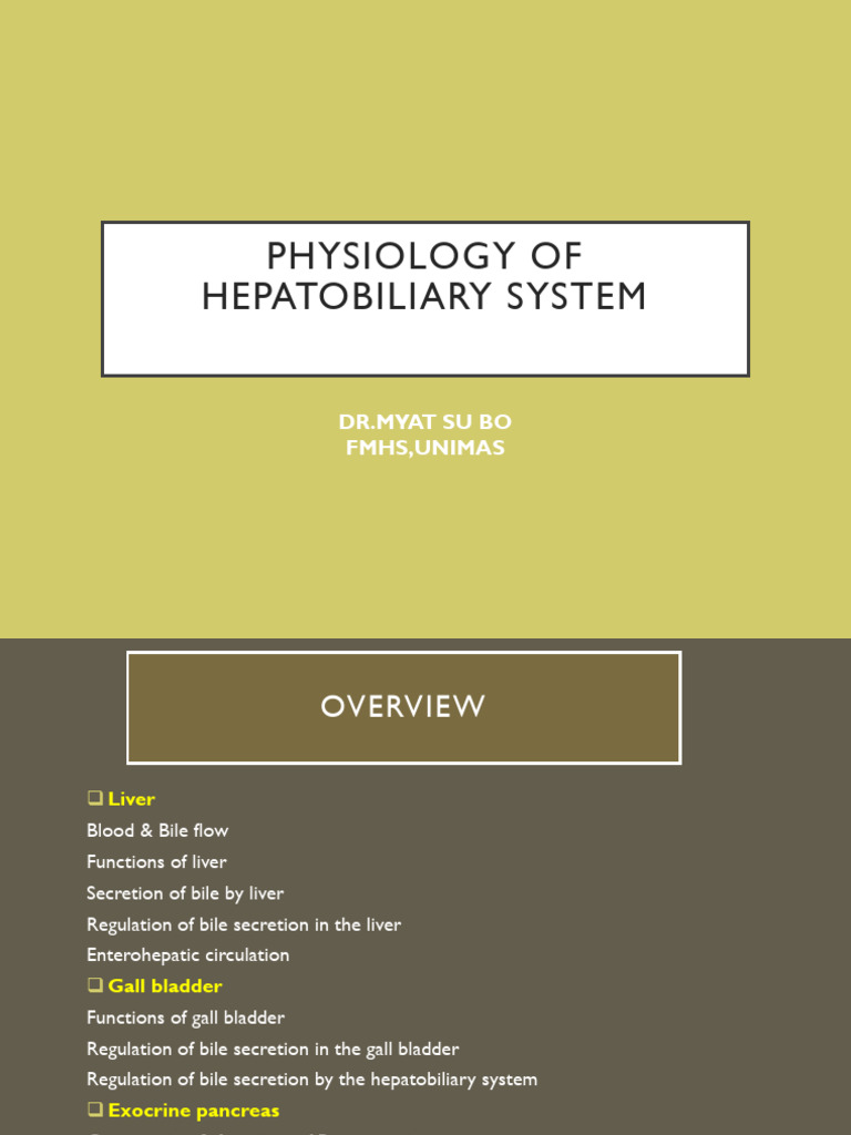 Hepatobiliary System Physiology Overview | PDF | Pancreas | Digestion