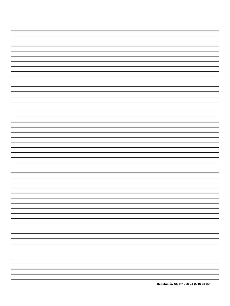 Lineas Formato | PDF
