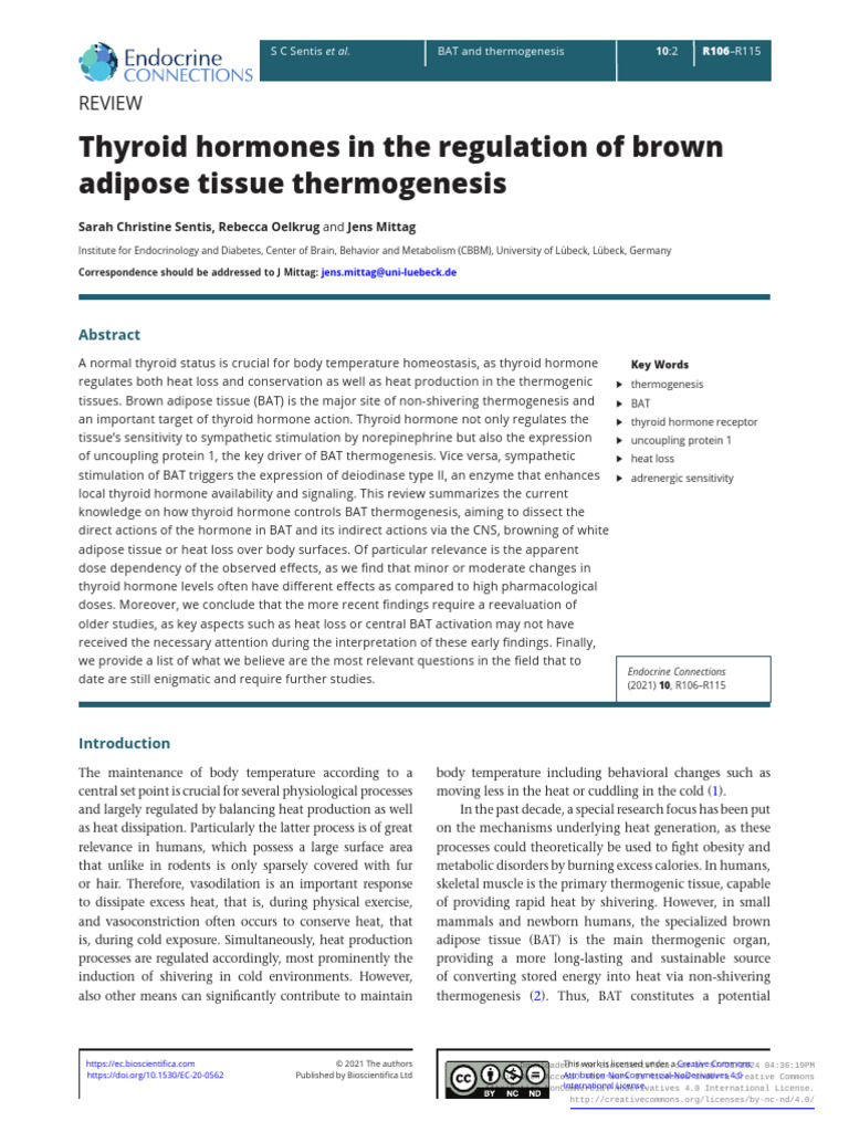 Thyroid Hormone Brown Adipose Tissue | PDF | Adipose Tissue | Hormone