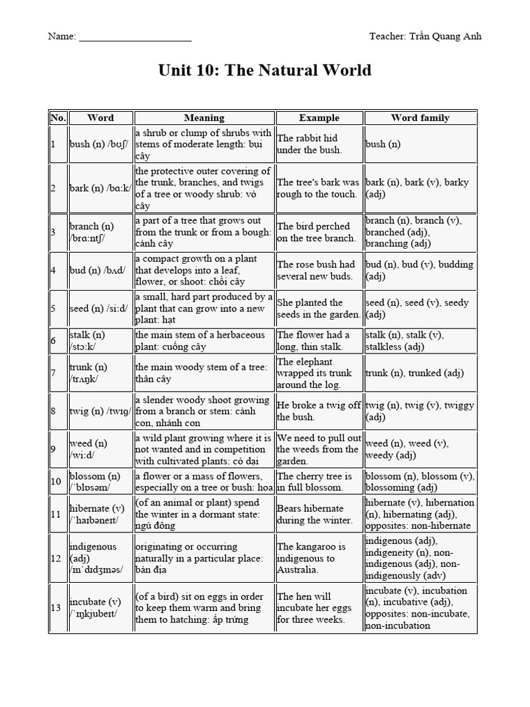 Vocabulary for Natural World Unit | PDF | Shrub | Amphibian