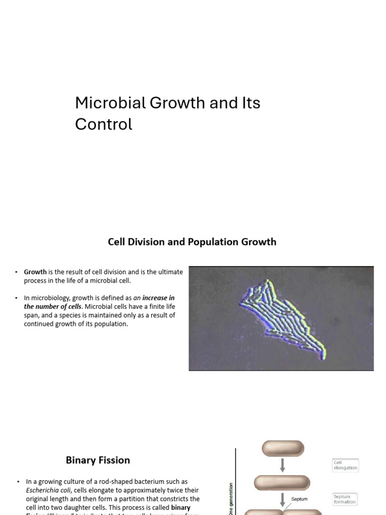 Microbial Growth Mechanisms Explained | PDF | Growth Medium | Biofilm