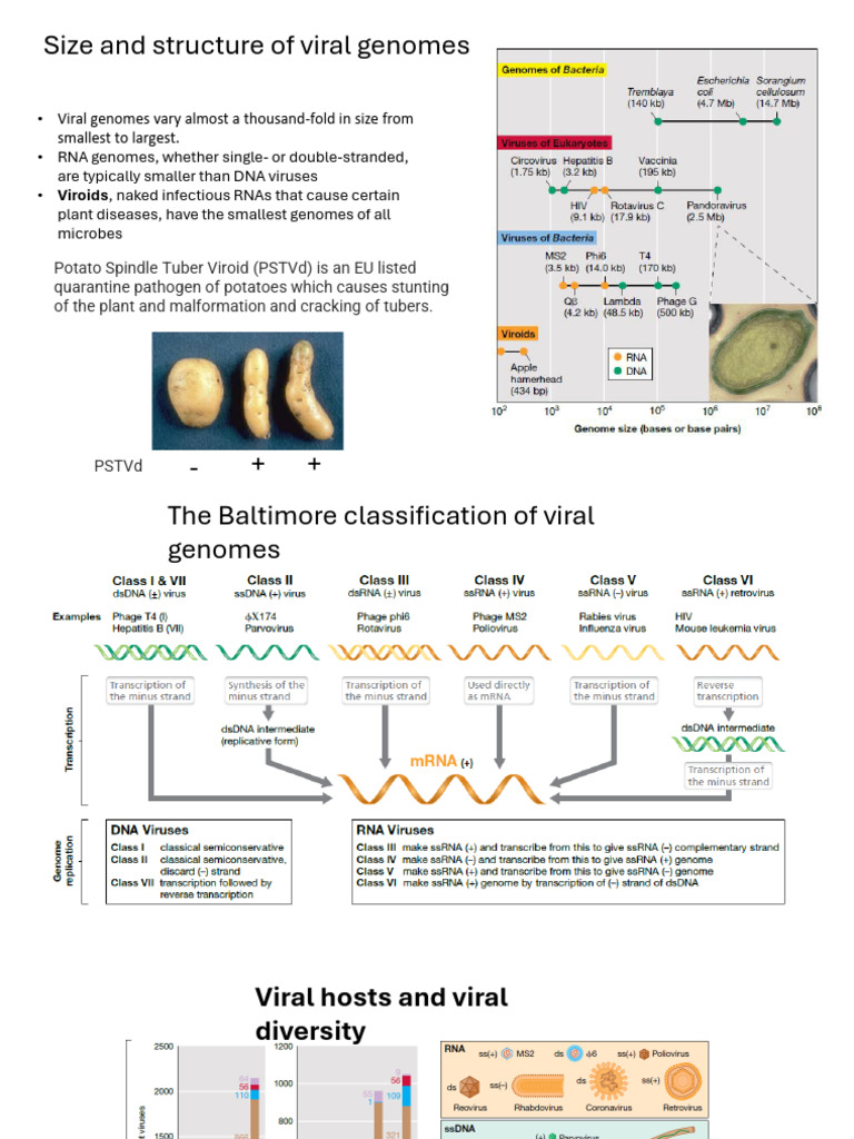 Viral Genomics, Diversity and Ecology | PDF | Retrovirus | Virus