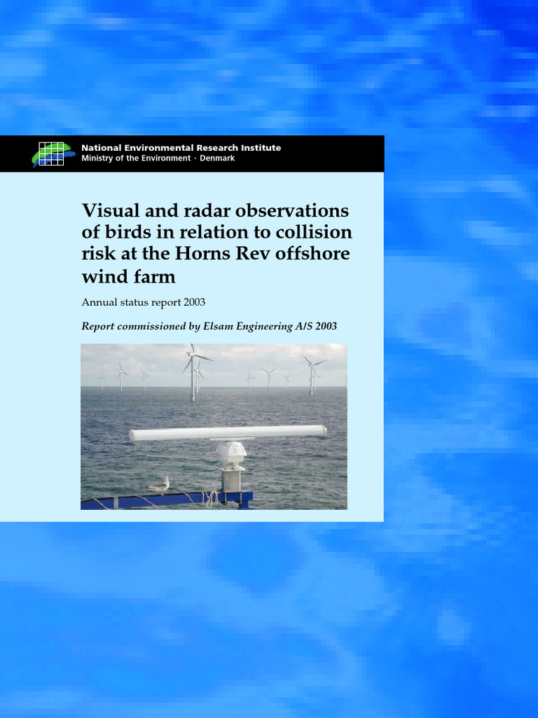 Bird Collision Risk at Horns Rev Wind Farm | PDF | Bird Migration ...