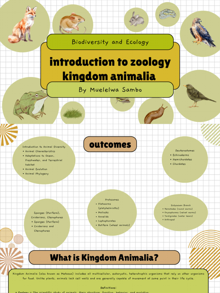 Zoology | PDF