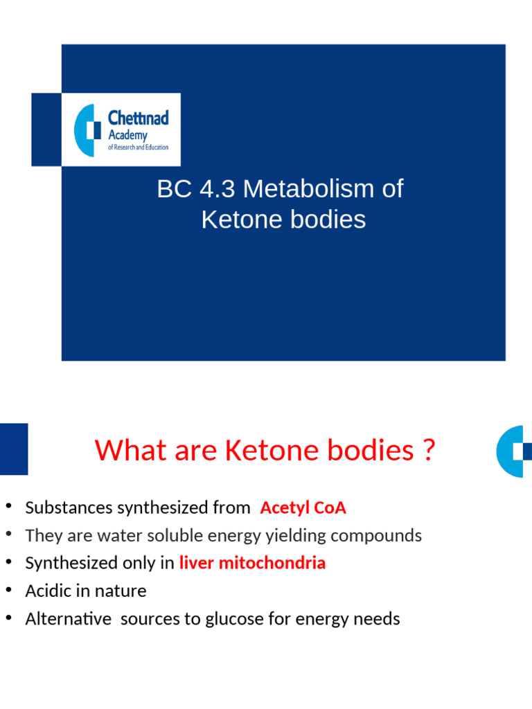 Ketone Bodies: Metabolism and Regulation | PDF | Ketosis | Metabolism