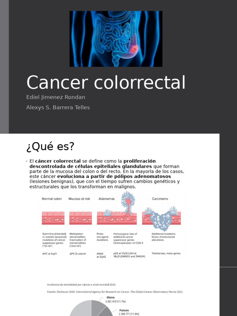 Cáncer Colorrectal: Riesgos y Prevención | PDF