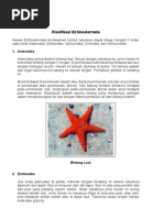 Download Klasifikasi Echinodermata by Gerhel Giovano SN98500356 doc pdf