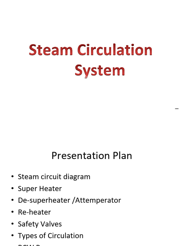 Steam Circulation System Overview | PDF | Pump | Boiling
