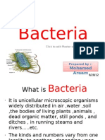 Bacteria