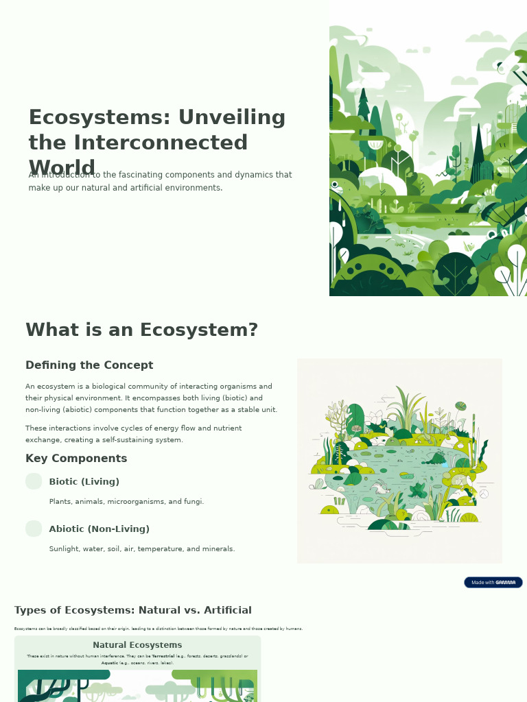 Understanding Ecosystems: Components & Types | PDF | Ecosystem ...